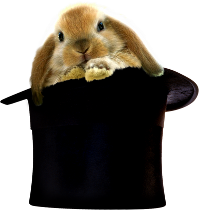 reward item