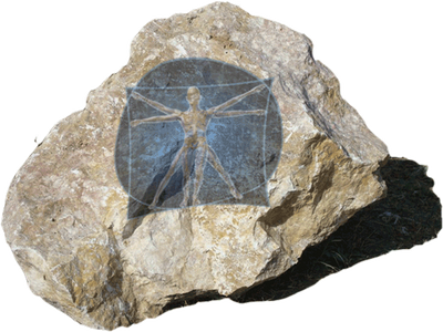 reward item