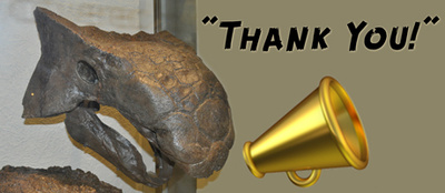 reward item