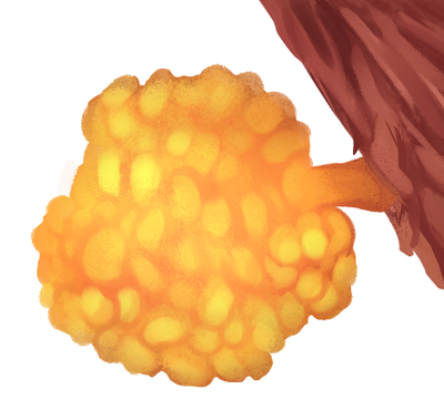 reward item