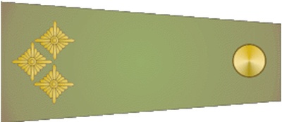 reward item