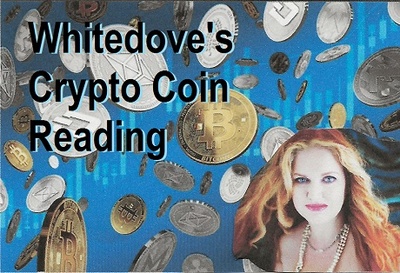 michelle whitedove crypto report