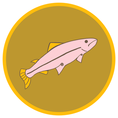 reward item