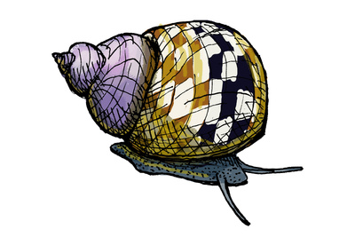 reward item