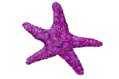 reward item