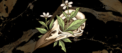 reward item