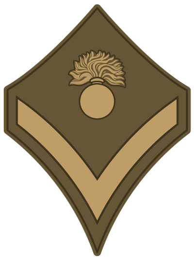 reward item