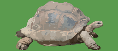 reward item