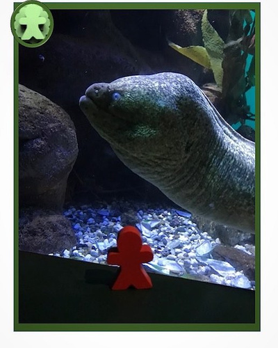 reward item