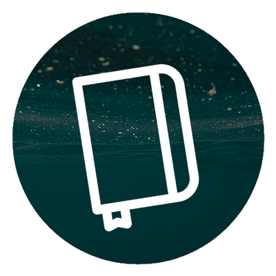 reward item