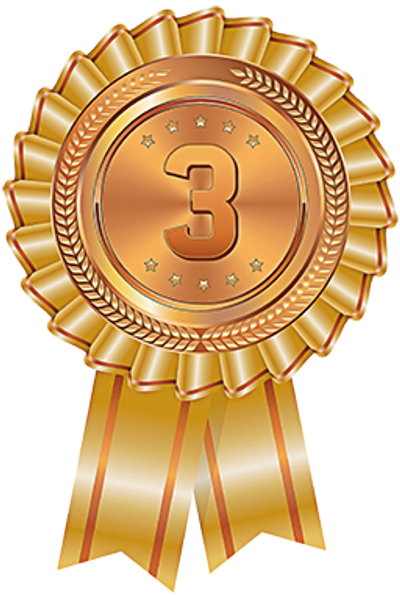 reward item