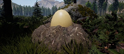 reward item