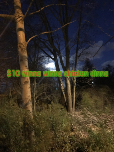reward item