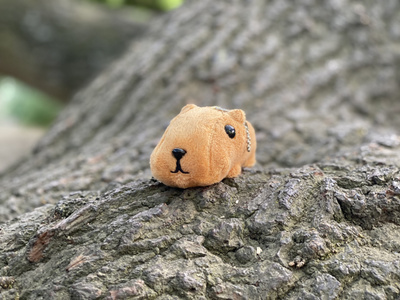 reward item