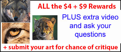reward item