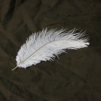 reward item