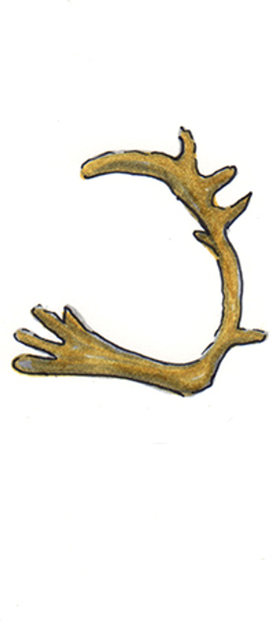 reward item