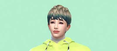 Vicky Sims 💯 chingyu1023 — Chingyu is on CurseForge!