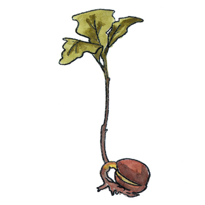 reward item