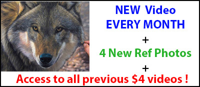 reward item