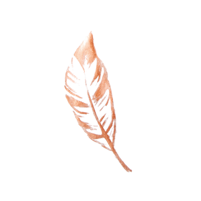 reward item