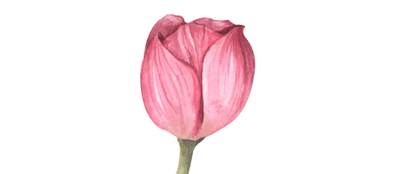 reward item