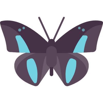 reward item