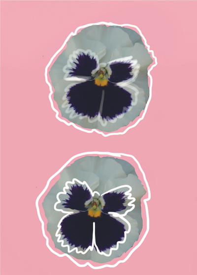 reward item