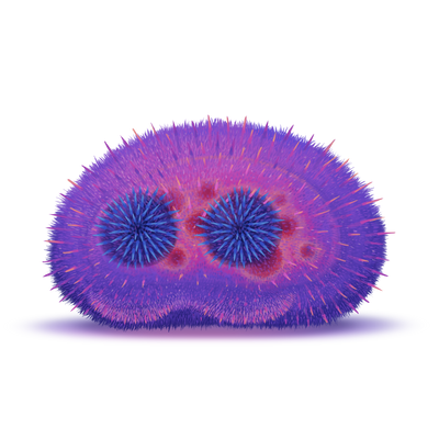 reward item