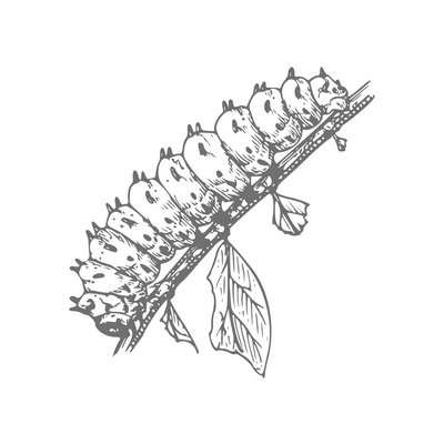 reward item