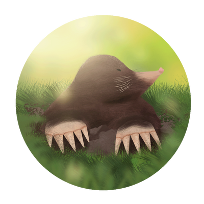 reward item