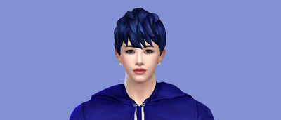 Vicky Sims 💯 chingyu1023 — Chingyu is on CurseForge!