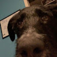 Patreon profile picture