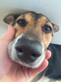 Patreon profile picture for @Fernanda