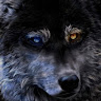 Patreon profile picture