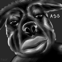 Patreon profile picture for @Unfunny