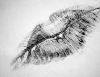 Patreon profile picture for @memoir