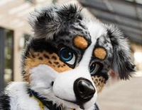 Patreon profile picture for @Wiggle