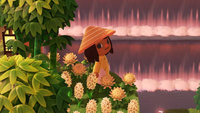 Patreon profile picture