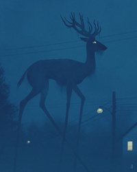 Patreon profile picture for @Observer