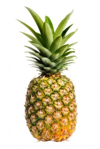 Patreon profile picture for @Pineapple