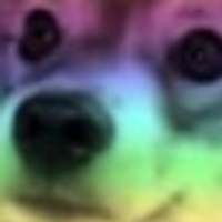 Patreon profile picture