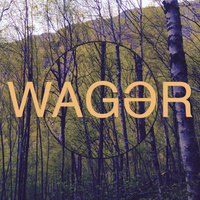 Patreon profile picture for @wager