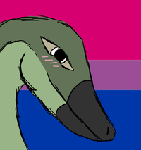 Patreon profile picture