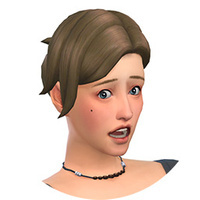 Sims Playhouses Patreon