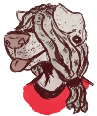 Patreon profile picture for @alligator