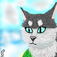 Patreon profile picture for @Spate