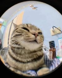 Patreon profile picture