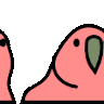 Patreon profile picture
